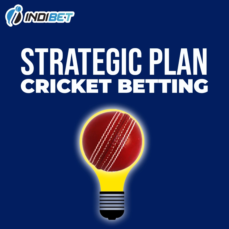 Strategies for Successful Cricket Betting at Indibet