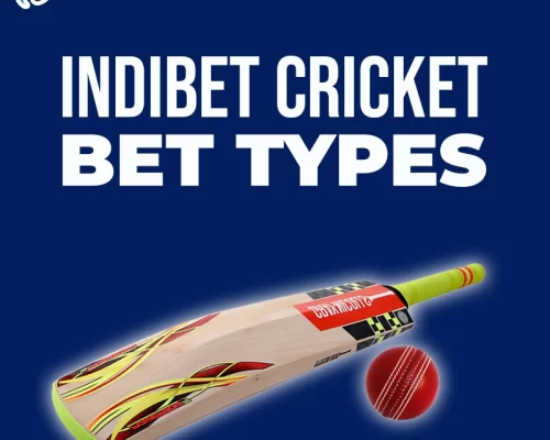 Types of Cricket Bets at Indibet
